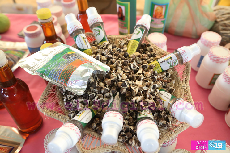 Moringa o Marango